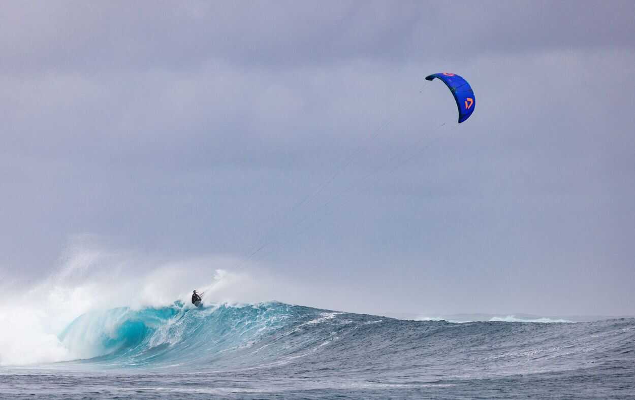 Whip SLS 5'1 2025 - Image 2